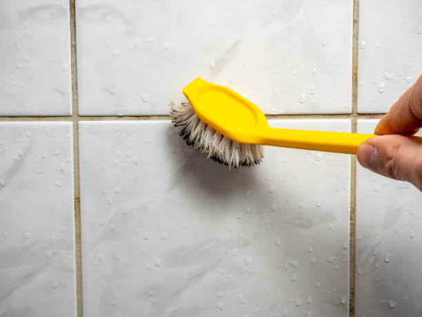 Best Post-Flood Mold Remediation in Adel, GA