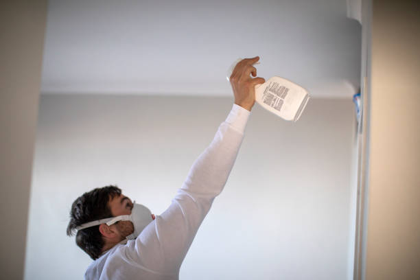 Best Emergency Mold Remediation in Adel, GA